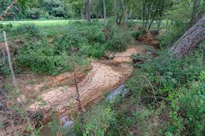 3219 County Road 1508 - Photo 37