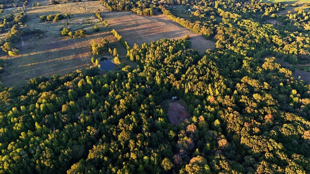 0000 County Road 4930 - Photo 10