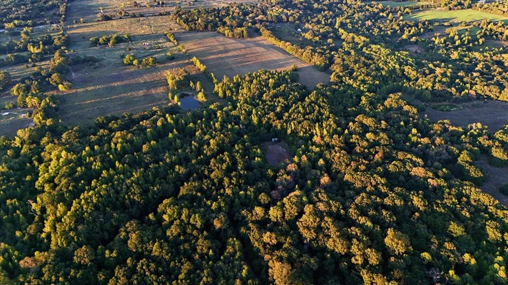 0000 County Road 4930 - Photo 11