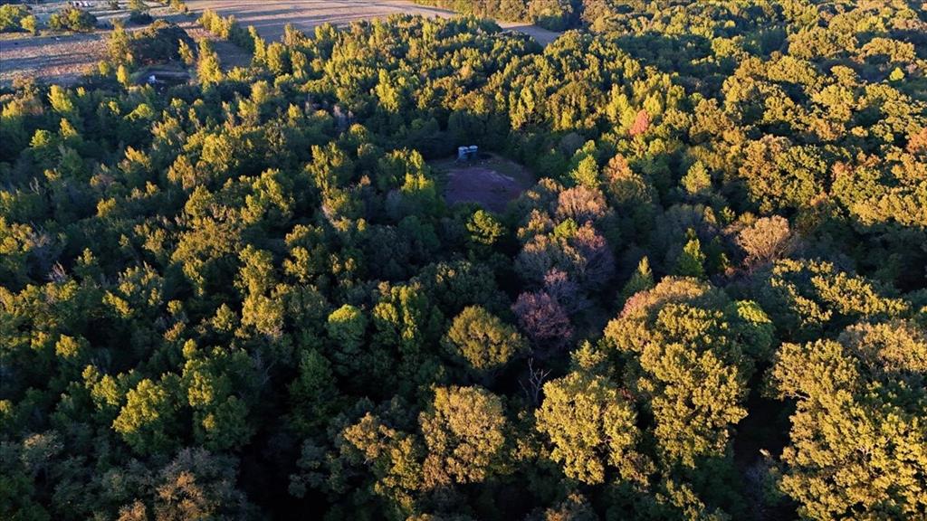 0000 County Road 4930 - Photo 7