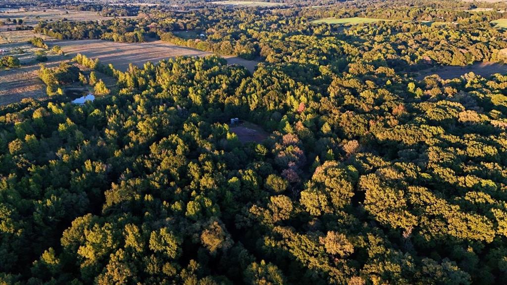 0000 County Road 4930 - Photo 9