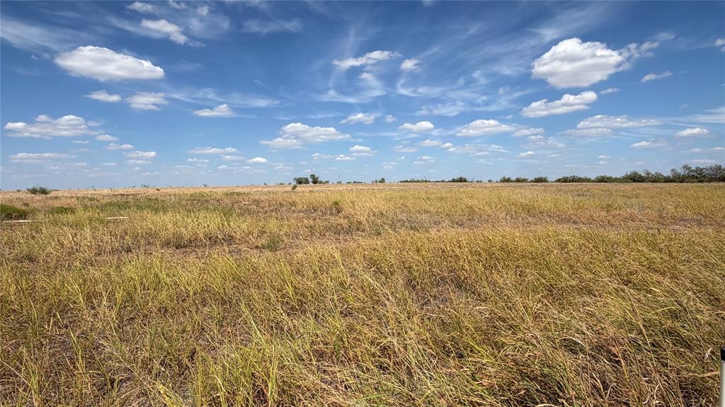 240 County Road 150 - Photo 3