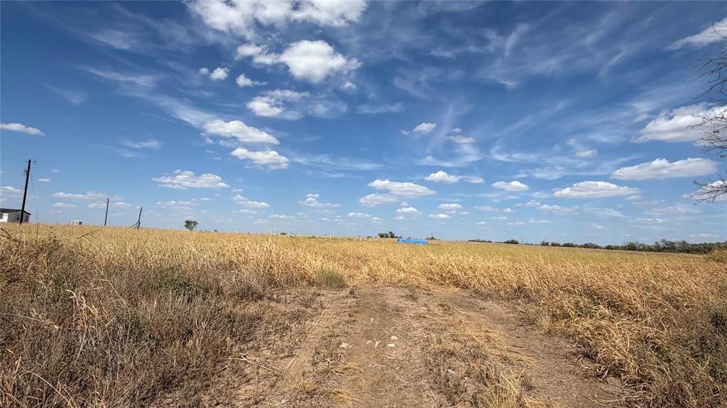 240 County Road 150 - Photo 4
