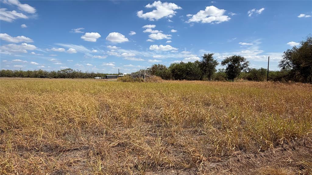240 County Road 150 - Photo 5