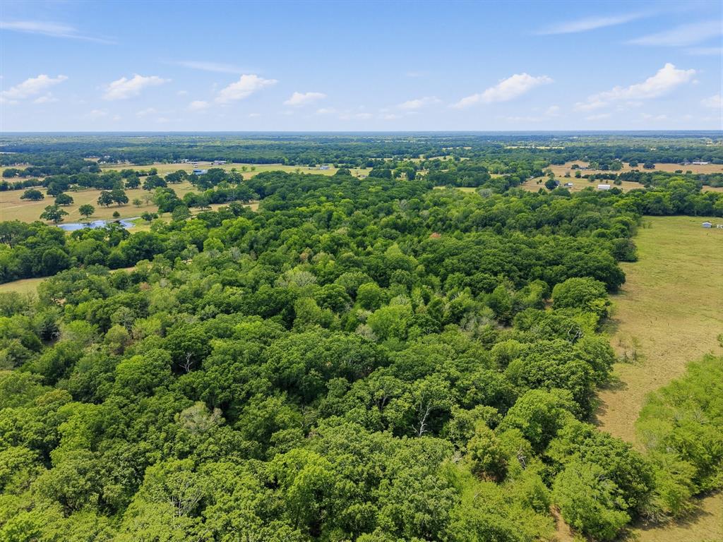 TBD County Road 1153 - Photo 11