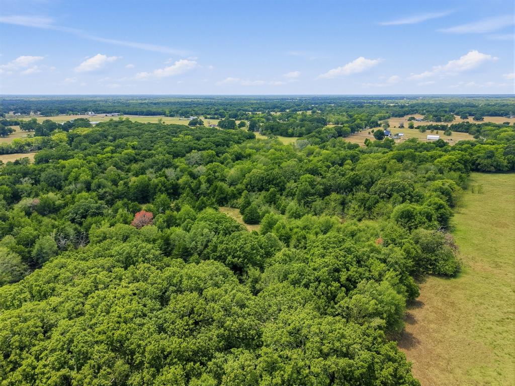 TBD County Road 1153 - Photo 12