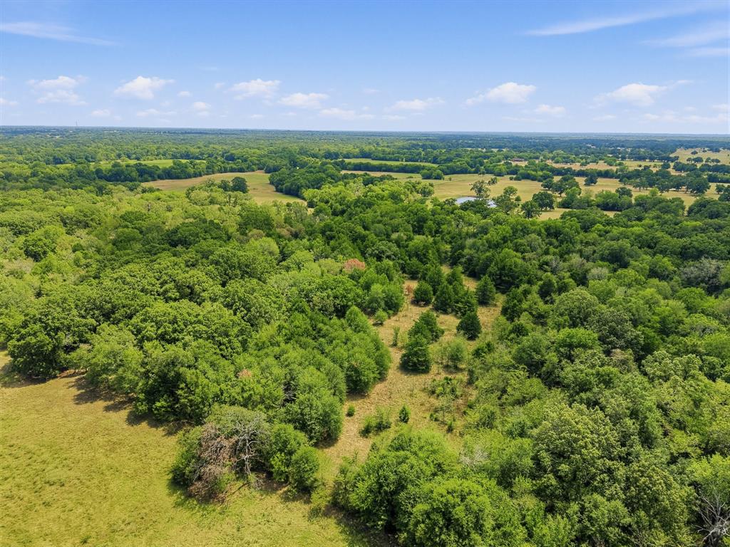 TBD County Road 1153 - Photo 13