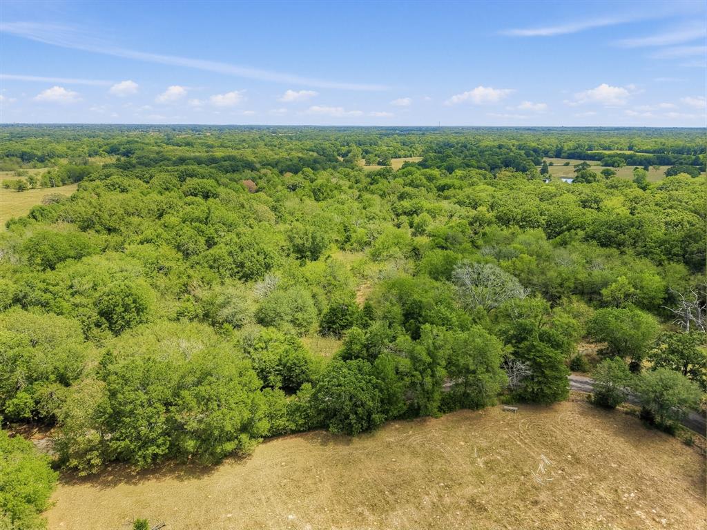 TBD County Road 1153 - Photo 15