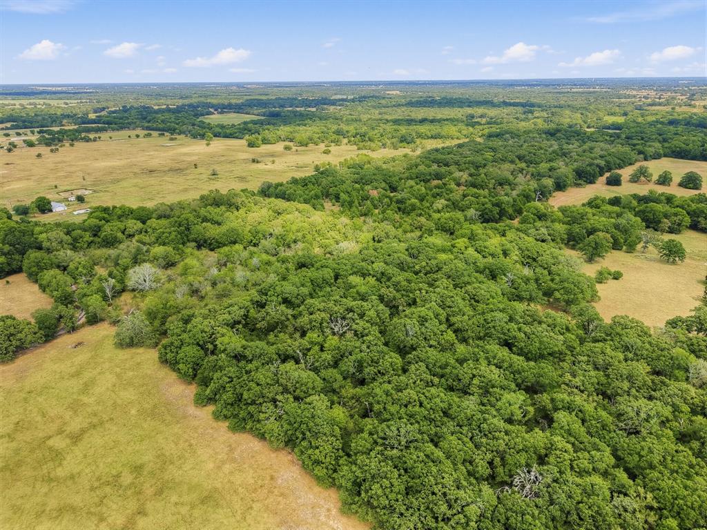 TBD County Road 1153 - Photo 3