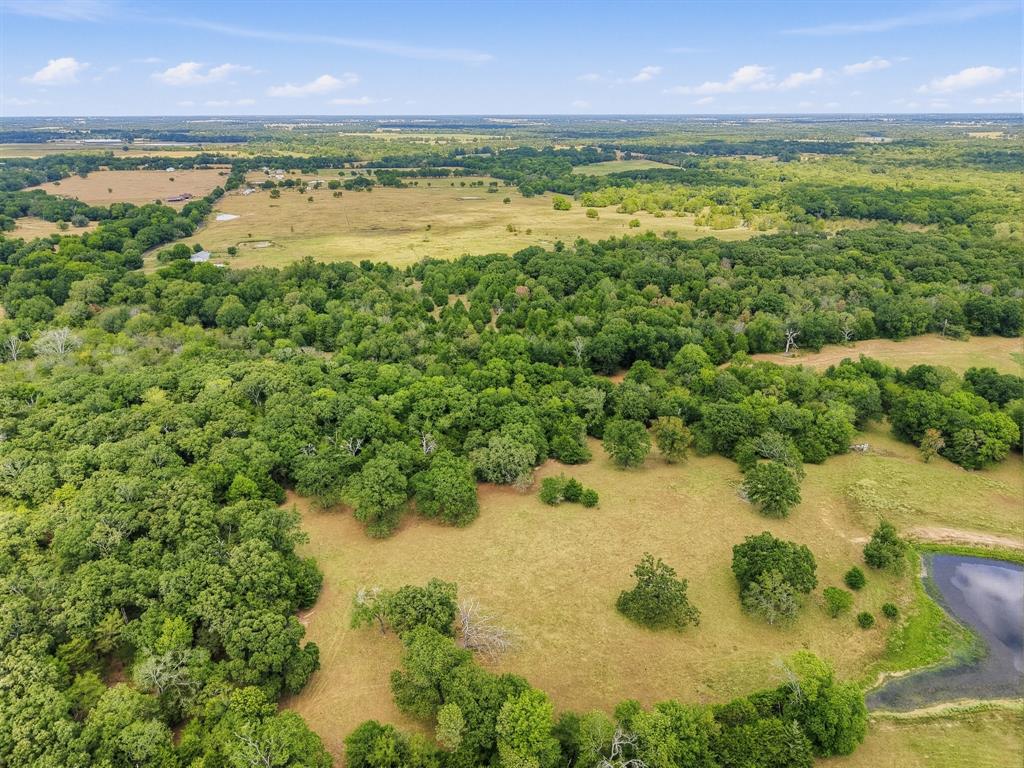 TBD County Road 1153 - Photo 4