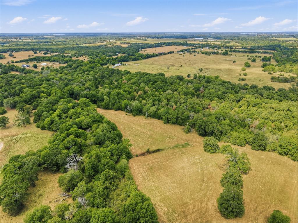 TBD County Road 1153 - Photo 5