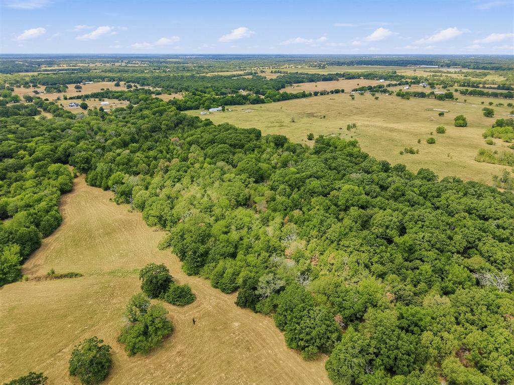 TBD County Road 1153 - Photo 6
