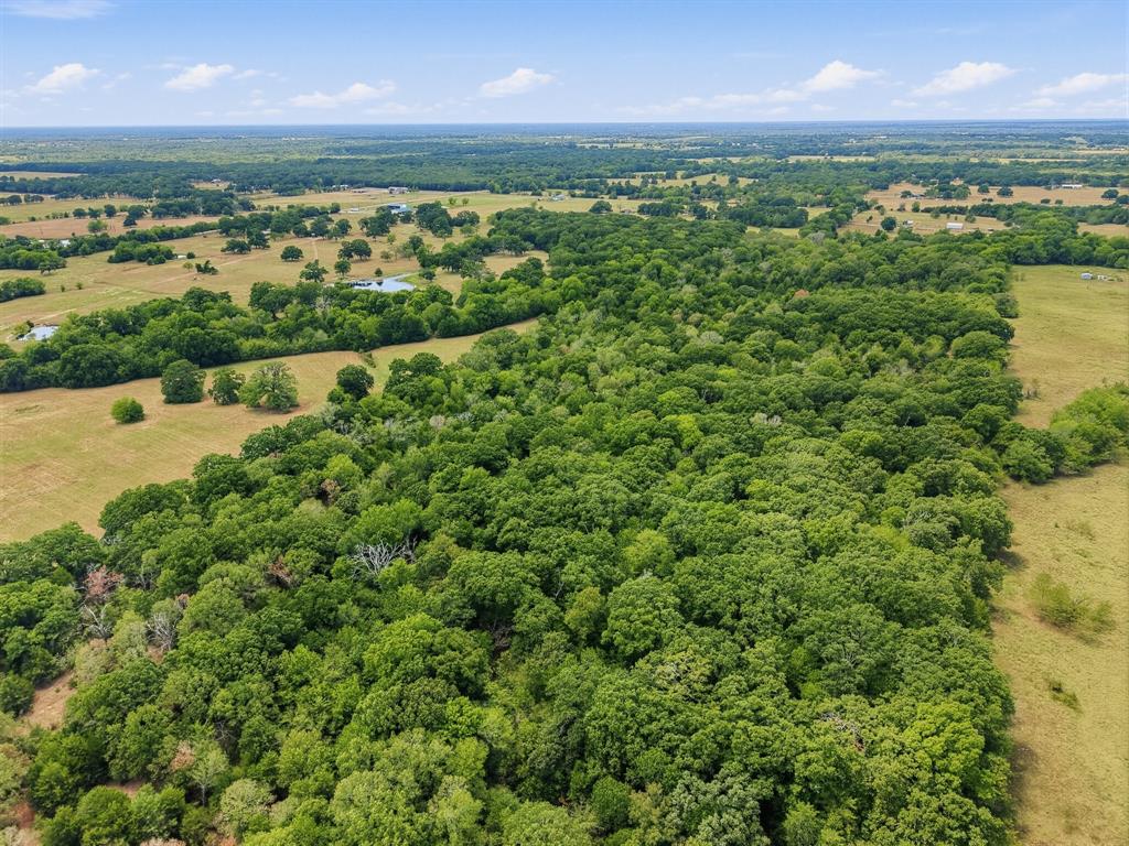 TBD County Road 1153 - Photo 7
