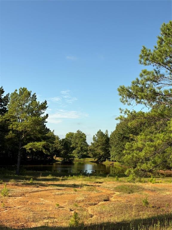 8965 N Us HWY 59