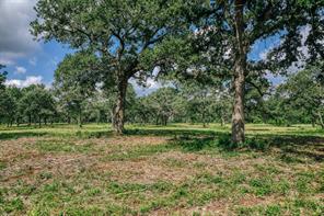 00 FM 39 - Photo 33