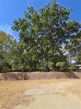 8019 Kiska Street - Photo 8
