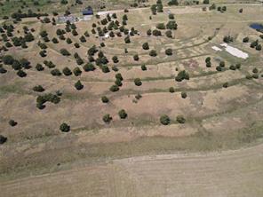 1600 Gunter Road - Photo 18