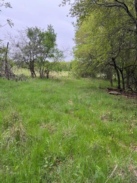 17082 Faircrest Drive - Photo 10