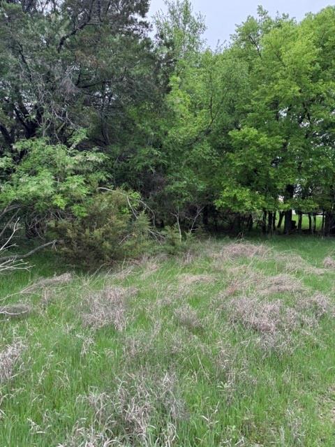 17082 Faircrest Drive - Photo 14