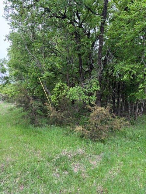 17082 Faircrest Drive - Photo 3