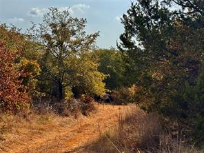 9100 FM 569 - Photo 22