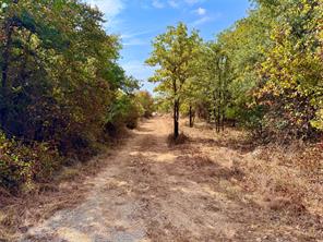 9100 FM 569 - Photo 23