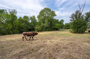 7003 E Bankhead Highway - Photo 4