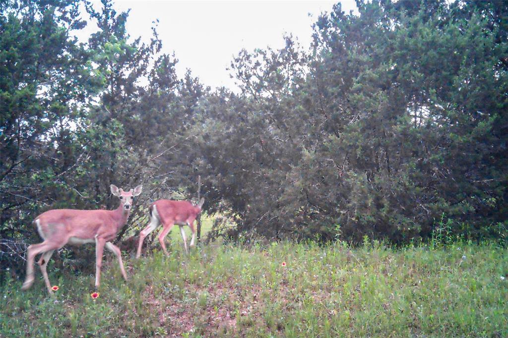 2998 Straws Mill Road - Photo 38