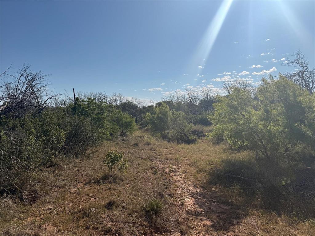 167 acres TBD CR 343 - Photo 10