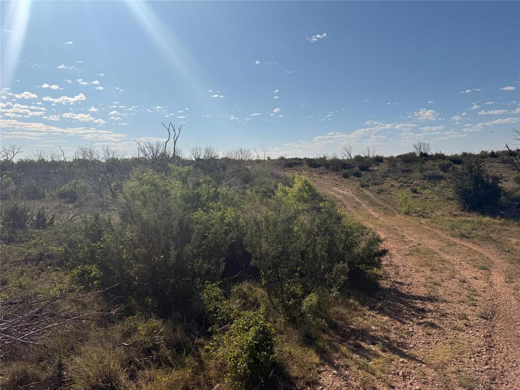167 acres TBD CR 343 - Photo 2