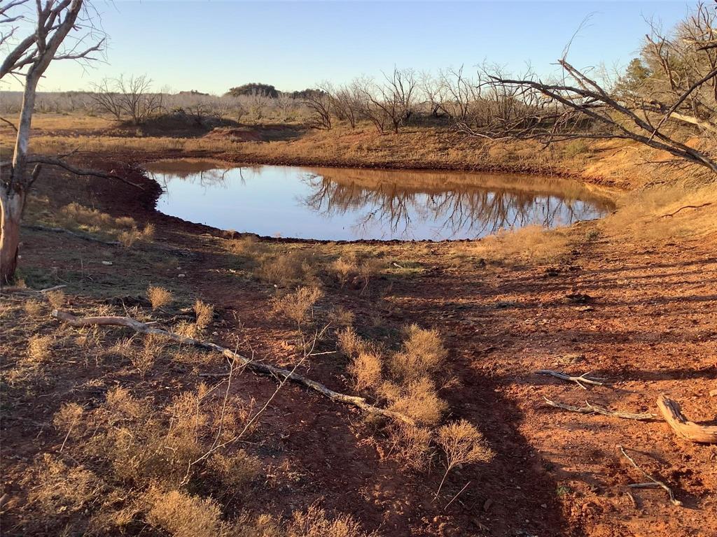 167 acres TBD CR 343 - Photo 4