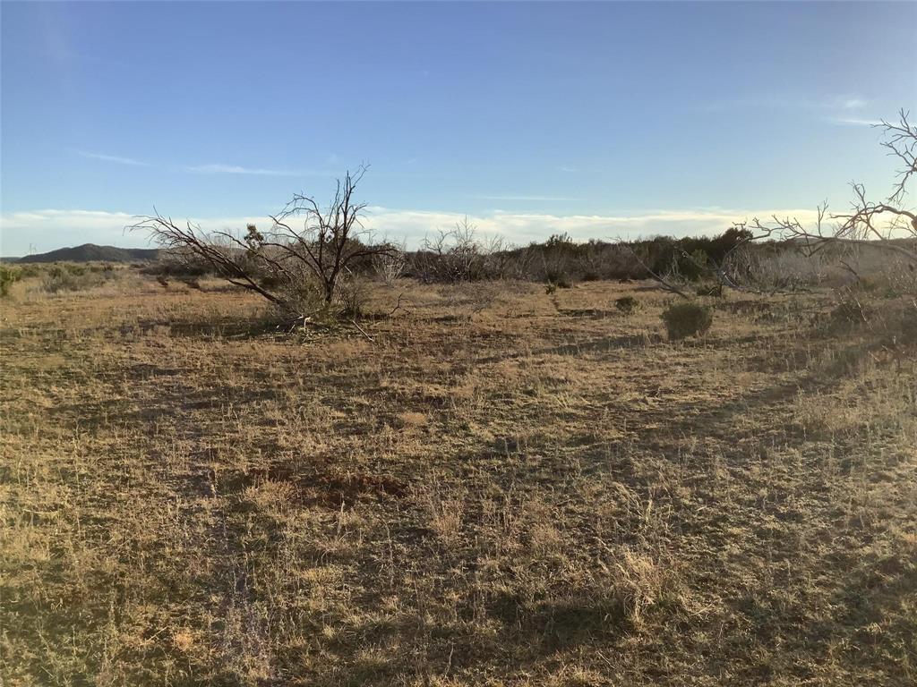 167 acres TBD CR 343 - Photo 5