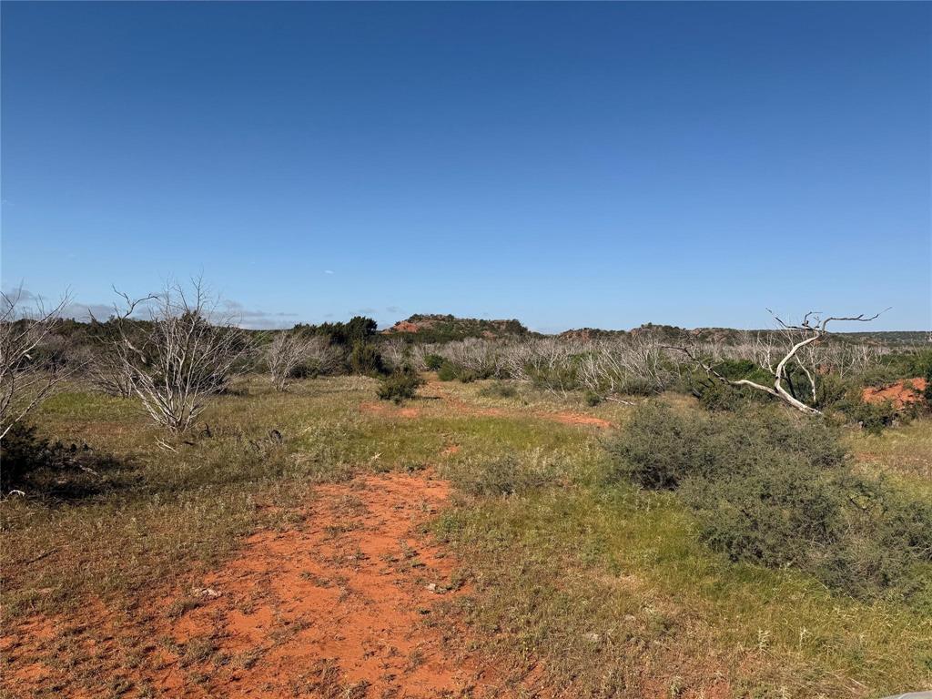 167 acres TBD CR 343 - Photo 7