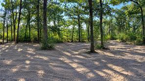 335 S Fm 80 - Photo 36