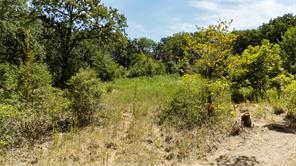 335 S Fm 80 - Photo 37