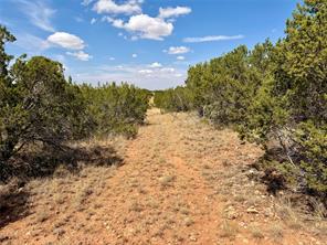 1880 FM 2035 - Photo 29