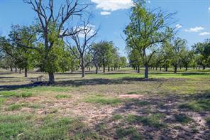 1031 E Landings N - Photo 11