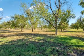 1031 E Landings N - Photo 13