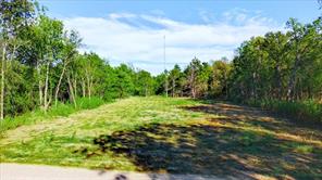 LOT 3 SE CR 3048E - Photo 3