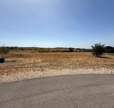 2601 Lucky Pepper Drive - Photo 4