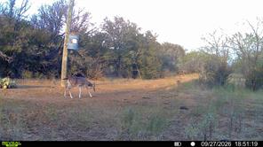 TBD Remington Road - Photo 11