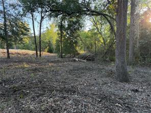 100 Shady Brook Court - Photo 11