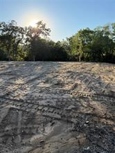 100 Shady Brook Court - Photo 5