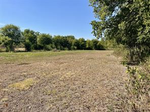 TBD Jasmine Lane Lane - Photo 10