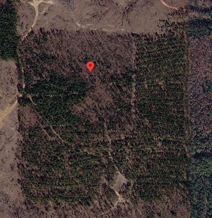 Tract 3 County Road 3769 - Photo 1