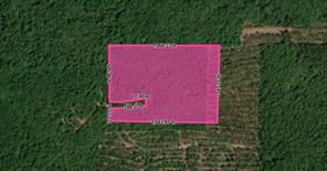 Tract 3 County Road 3769 - Photo 3