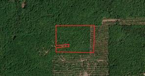 Tract 3 County Road 3769 - Photo 4