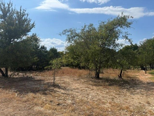 16037 Faircrest Drive - Photo 1