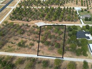 1313 Cirrus Loop - Photo 11
