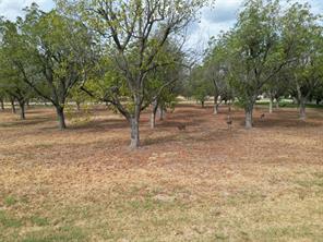 1313 Cirrus Loop - Photo 12